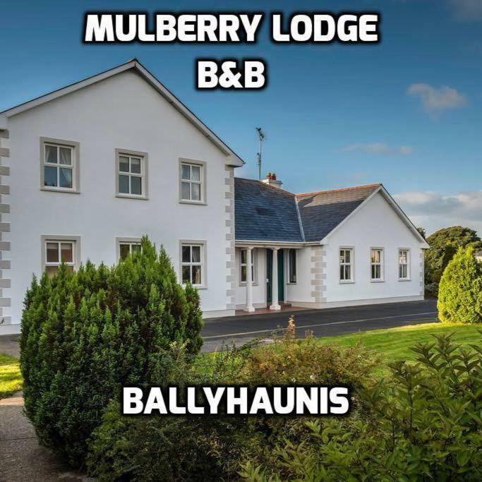 Mulberry Lodge Guest House باليهاونيس المظهر الخارجي الصورة